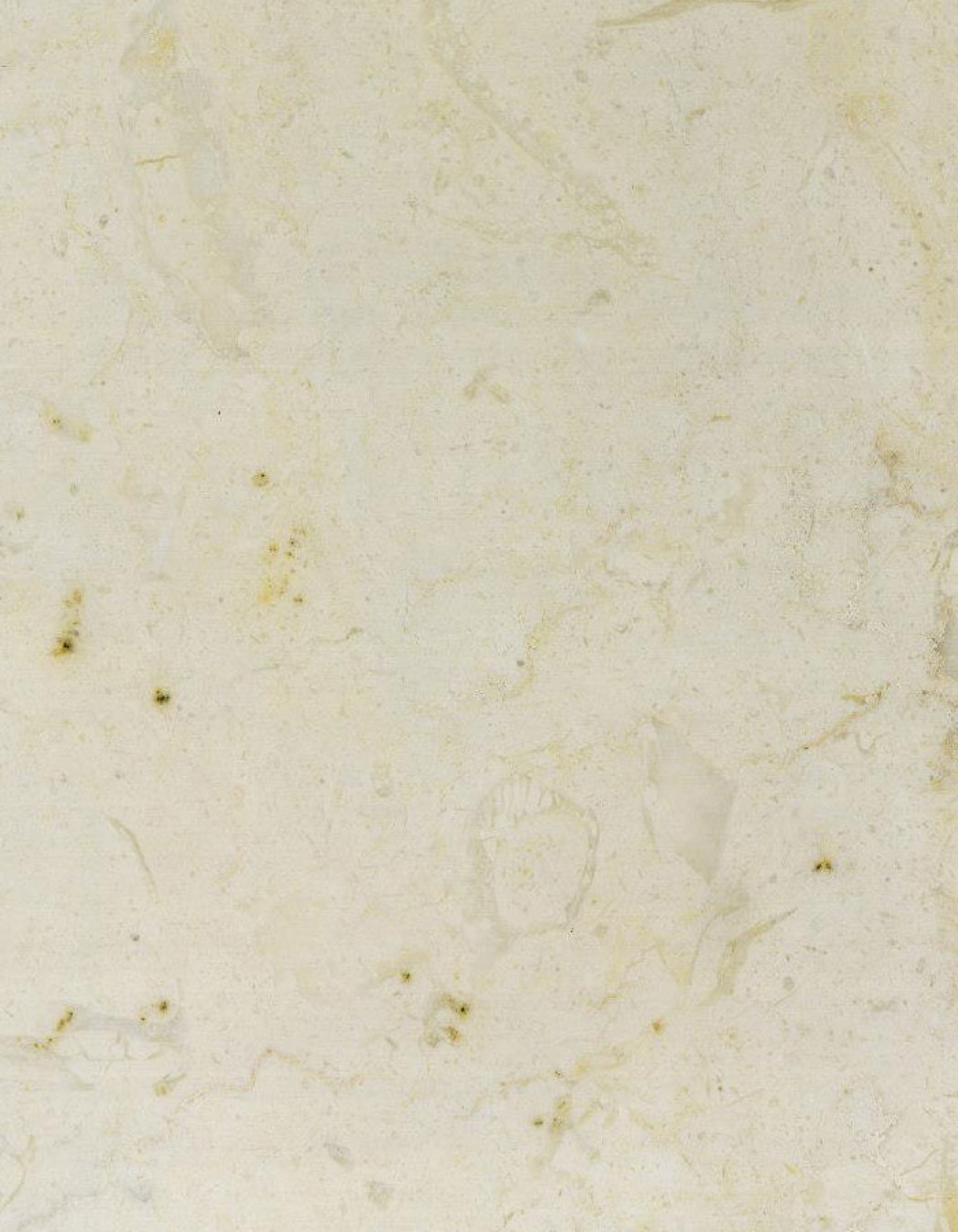 Lioz Creme