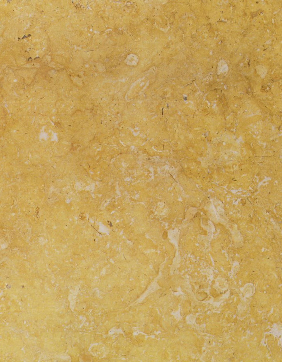 Amarelo dos Negrais